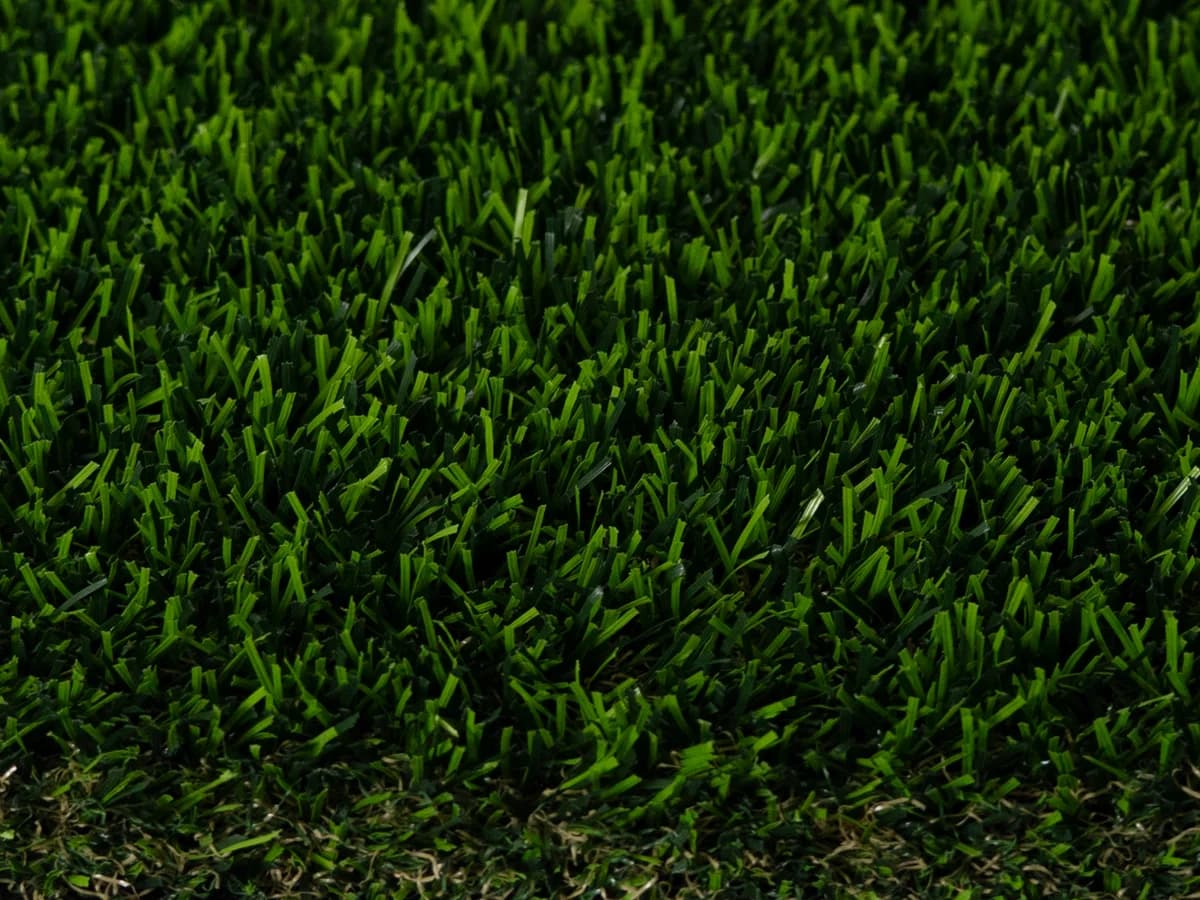 Bermuda Pro 100 LT