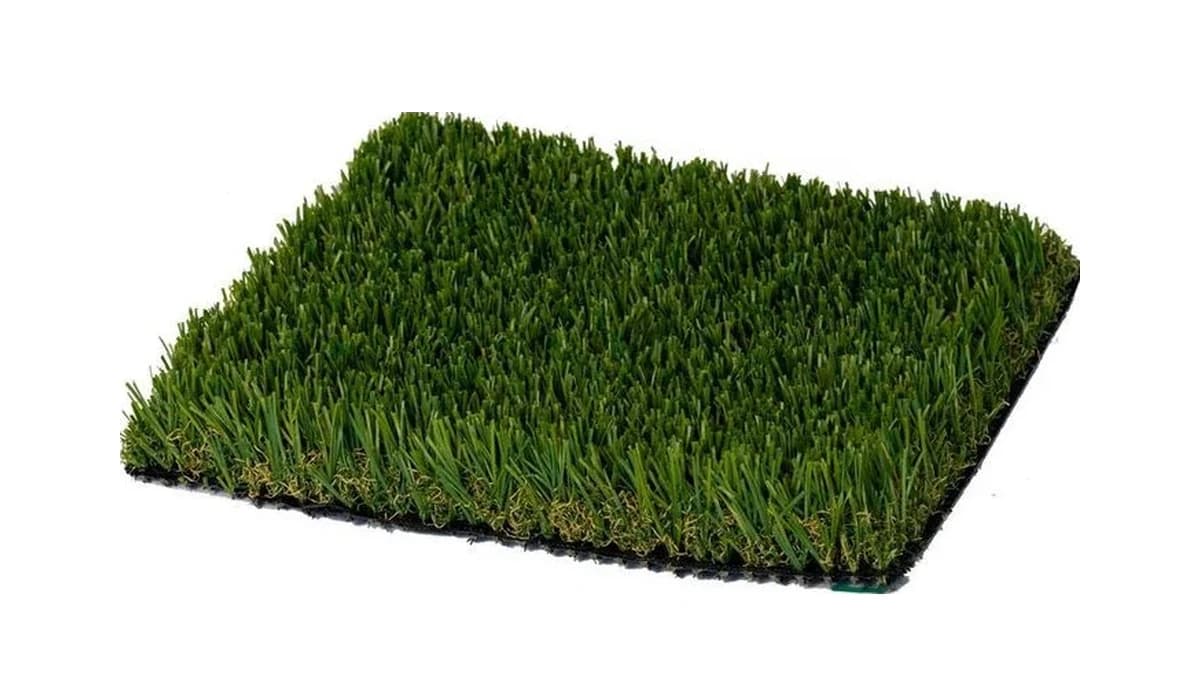 Olive 73 turf