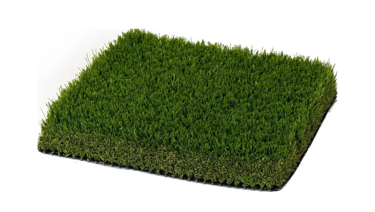 Platinum Pro Olive 129 turf