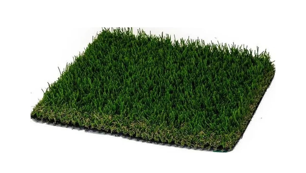 Winter Breeze 77 turf