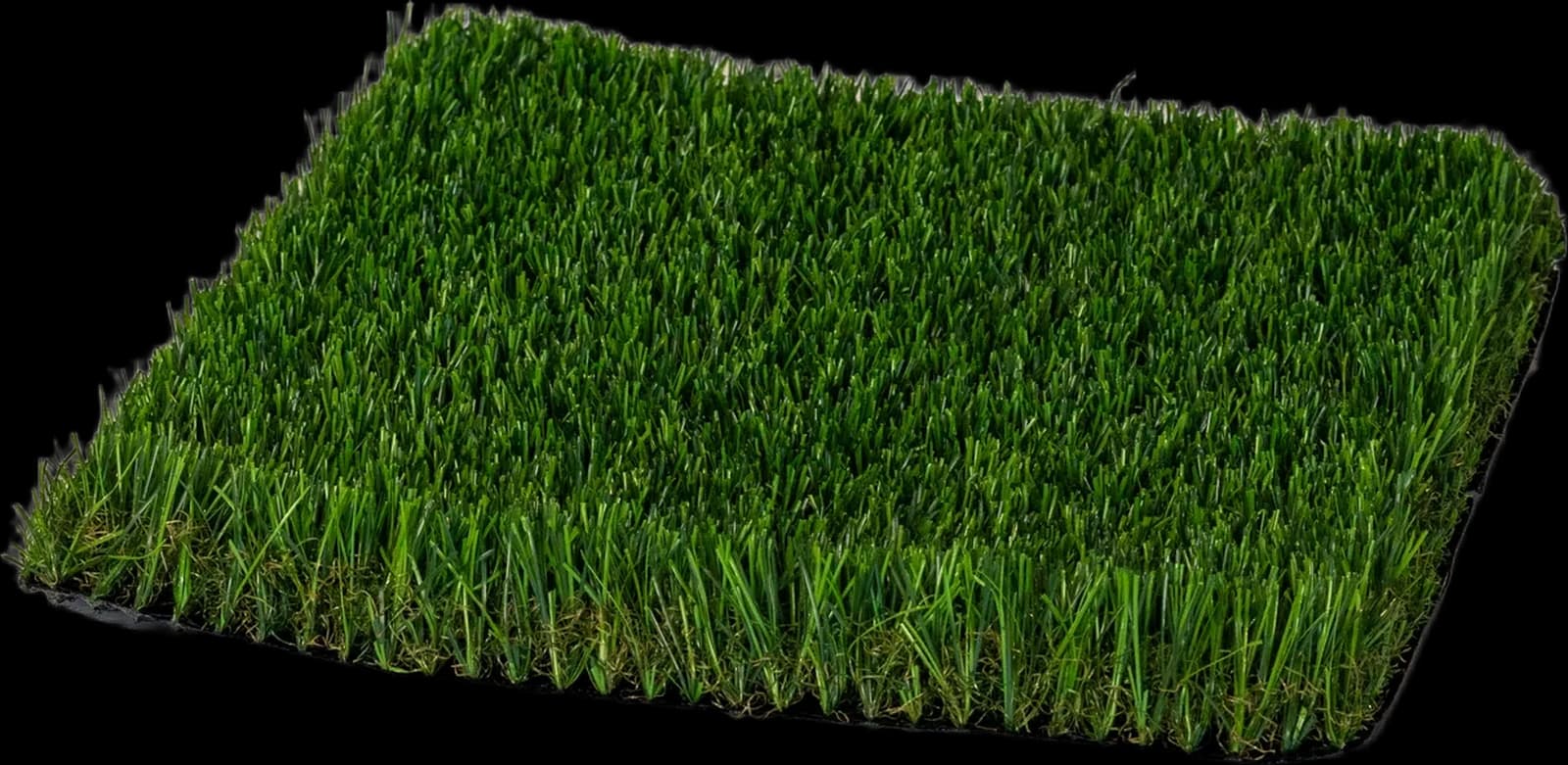 Bermuda Pro 71 turf