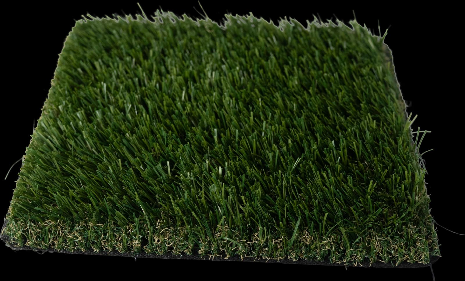 Olive 73 turf