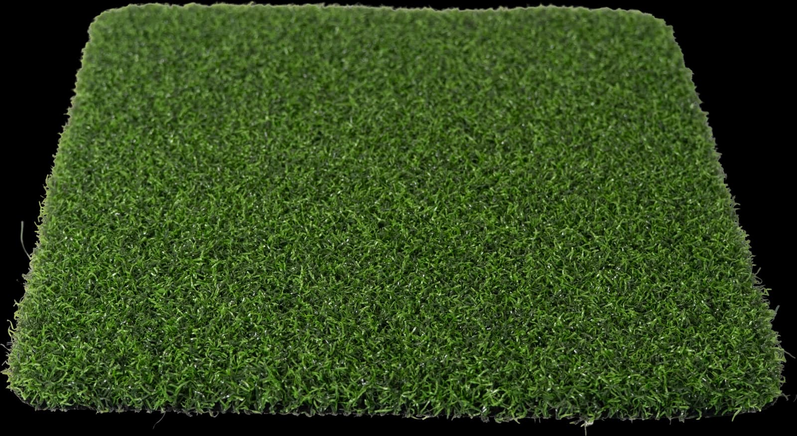 Pro Putt turf