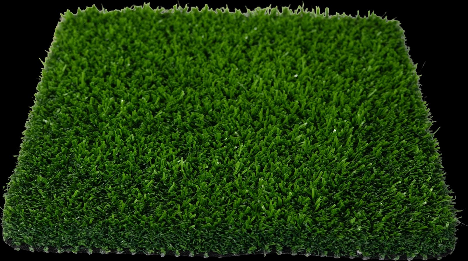 True Sport turf sample, photographed
