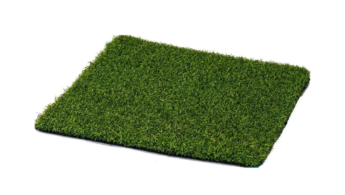 Pro Putt turf
