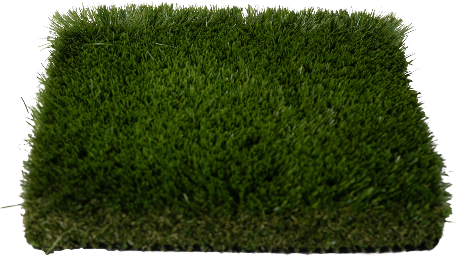 Platinum Pro Olive 100 gallery 2
