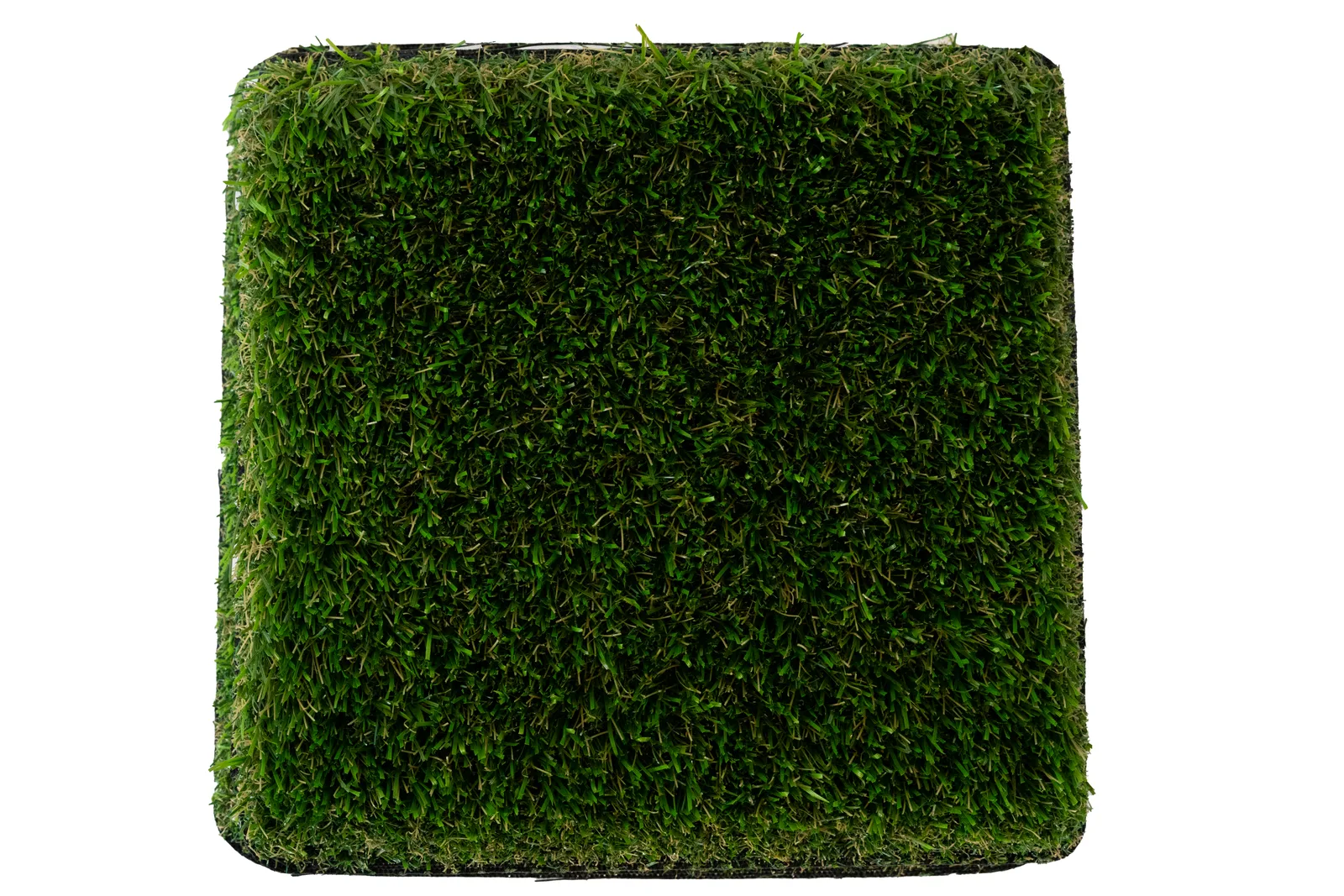 Natural Lush 90 gallery 2