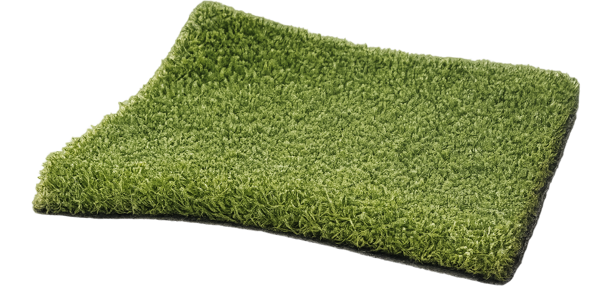 Pro Putt turf