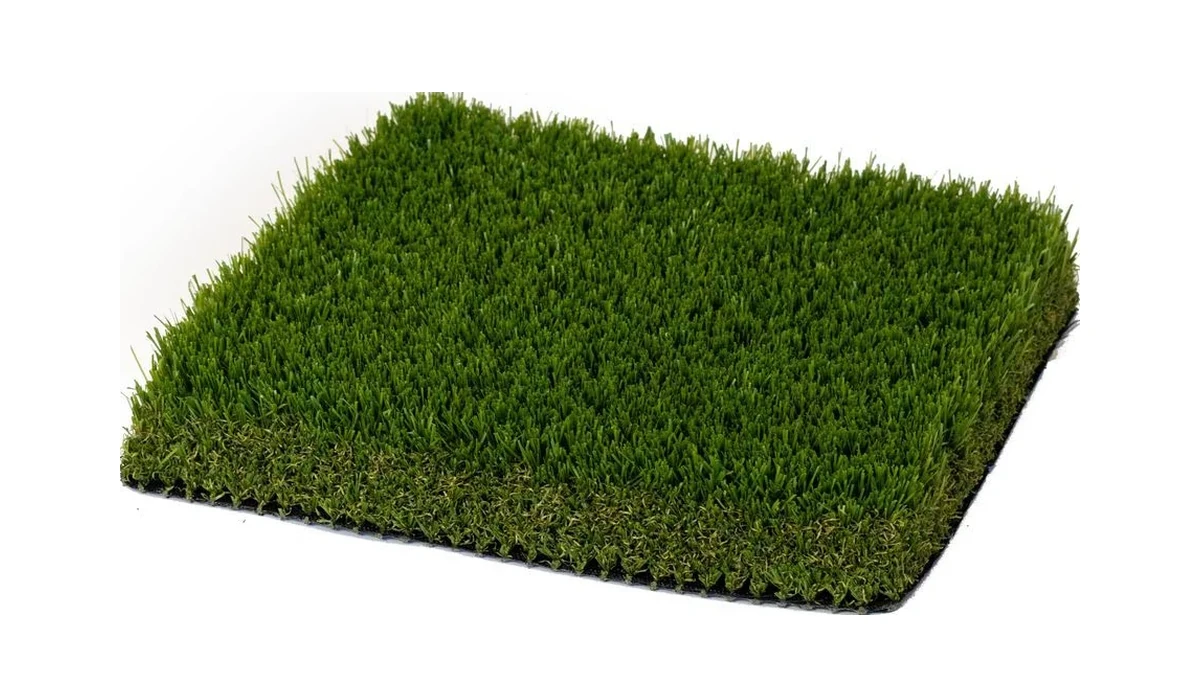 Platinum Pro Olive 129 turf sample