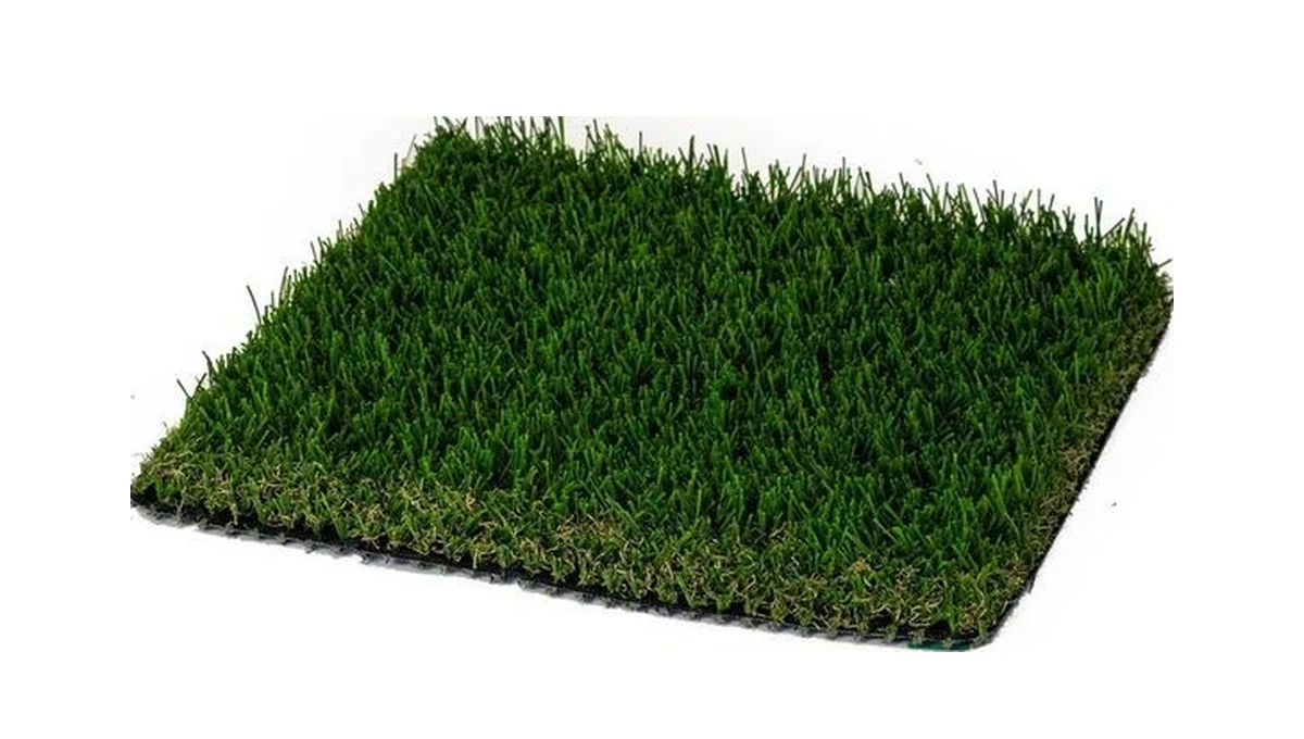 Winter Breeze 77 turf sample